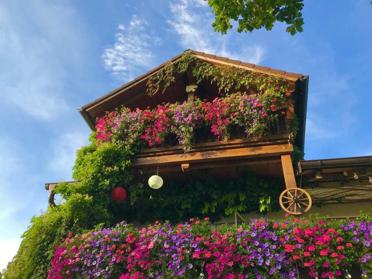 Bergblick Apartment Weilheim in Oberbayern Ngoại thất bức ảnh